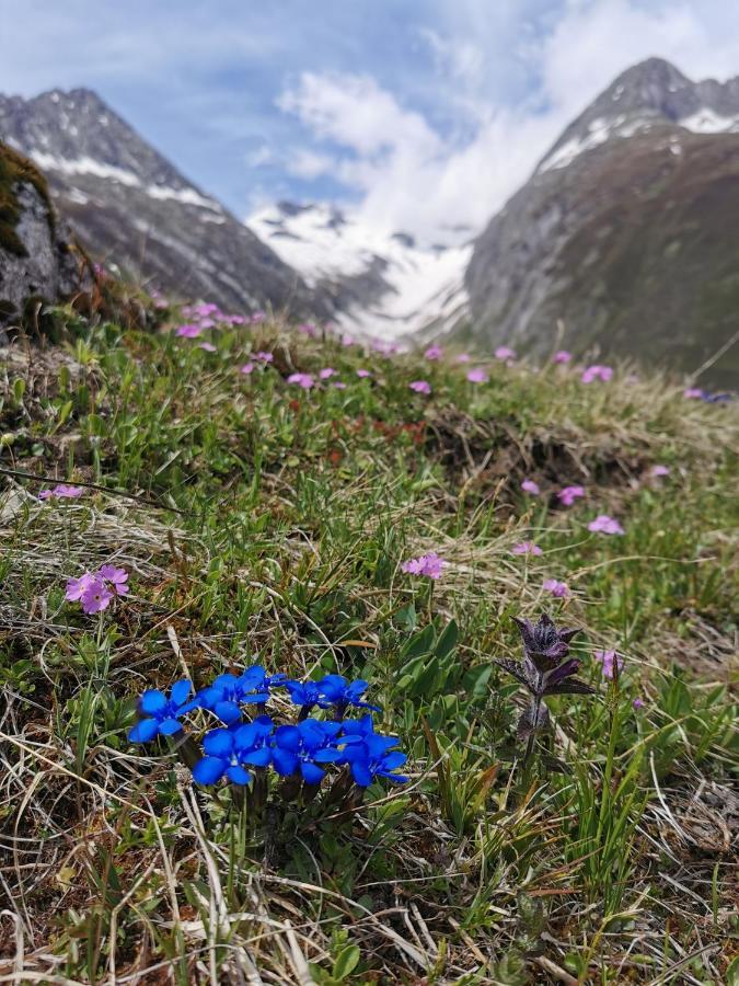 Tgesa Dutg Grond Sedrun Exterior foto