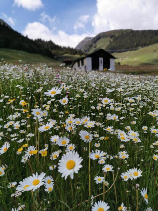 Tgesa Dutg Grond Sedrun Exterior foto