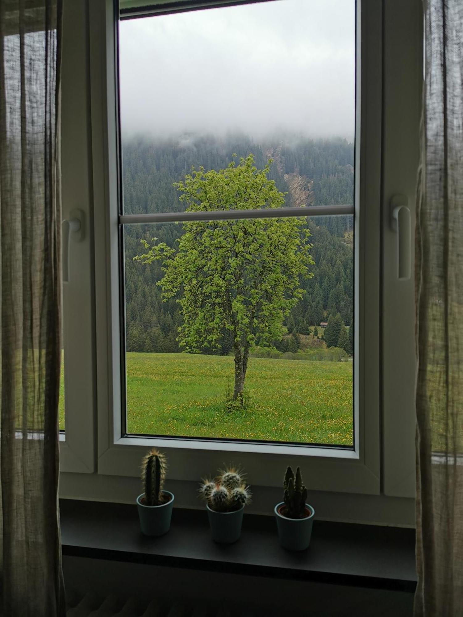 Tgesa Dutg Grond Sedrun Exterior foto